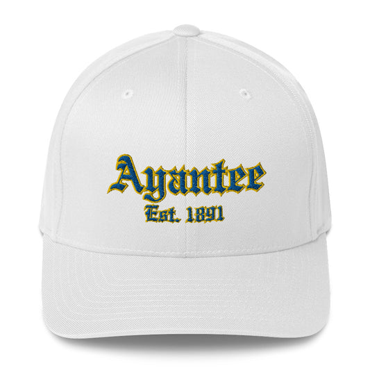 Ayantee Structured Twill Cap